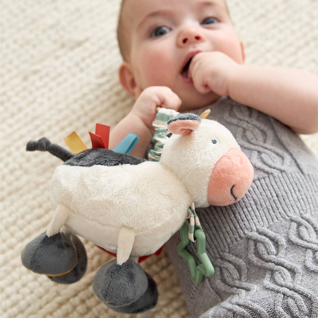 Cow Link & Love