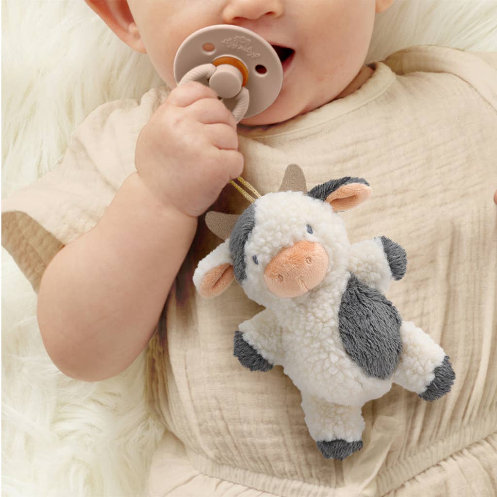 Bitzy Pal- Pacifier & Plush