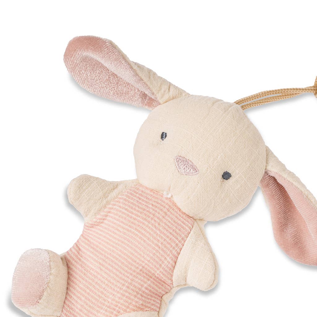 Bitzy Pal- Pacifier & Plush
